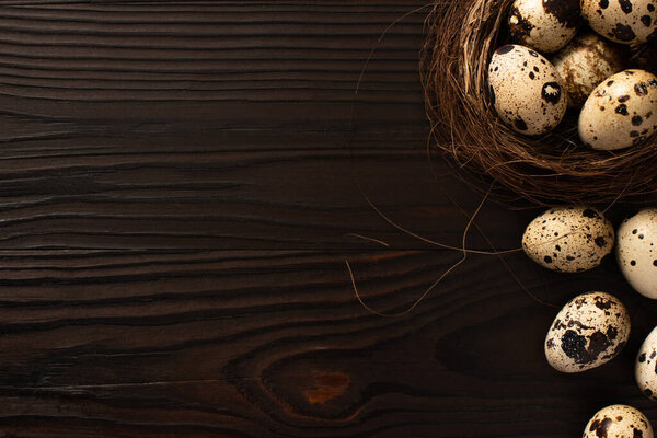top view of quail eggs in brown nest on and on dark wooden surface
