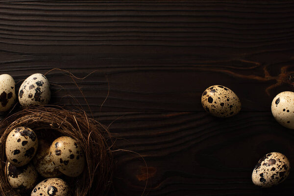 top view of quail eggs in nest and on dark wooden surface