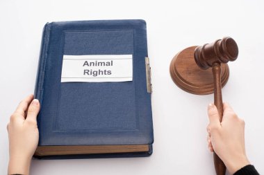 partial view of judge holding gavel and blue book with animal rights inscription on black background clipart