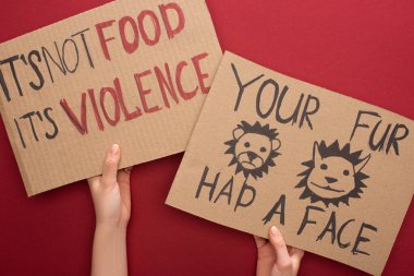 partial view of woman holding cardboard signs with your fur had a face and its not food its violence inscriptions on red background clipart
