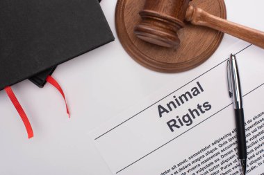 top view of black notebooks, animal rights inscription, judge gavel and pen on white background clipart