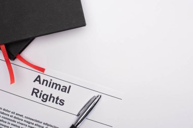 Hayvan hakları yazıtlarının üst görünümü, siyah defterler ve beyaz arkaplandaki kalem