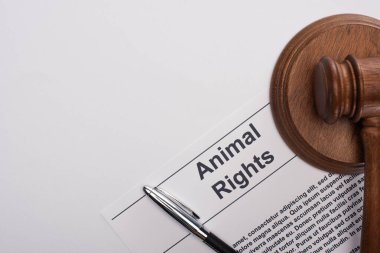 top view of animal rights inscription, judge gavel and pen on white background clipart
