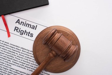 Yargıç Tokmak 'ın hayvan hakları yazıtları ve beyaz arkaplanda siyah defter hakkındaki üst görüşü