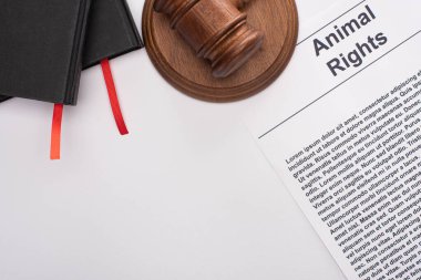 top view of animal rights inscription, black notebooks and judge gavel on white background clipart