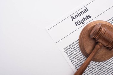 Hayvan Hakimleri tokmağının beyaz yüzeydeki hayvan hakları yazıları hakkındaki üst görüşü