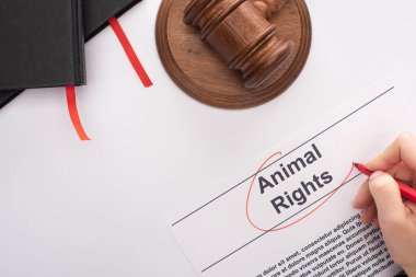 partial view of woman circling animal rights inscription with red felt pen near judge gavel and black notebooks on white background clipart