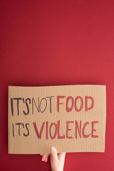 partial view of woman holding cardboard sign with its not food its violence inscription on red background