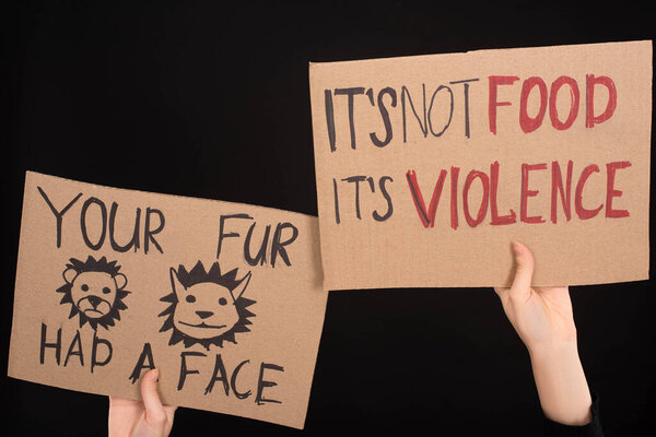 partial view of woman holding cardboard signs with your fur had a face and its not food its violence inscriptions isolated on black