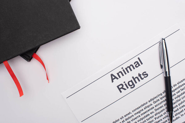 top view of black notebooks, animal rights inscription and pen on white background