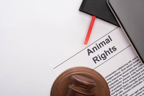 白い背景に動物の権利表示 黒いノート スマートフォン 裁判官の表示 — ストック写真