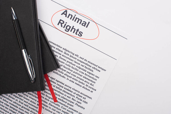 top view of black notebooks and pen on animal rights inscription on white background