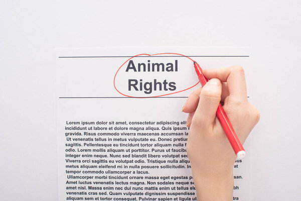 partial view of woman circling animal rights inscription with red felt pen on white background