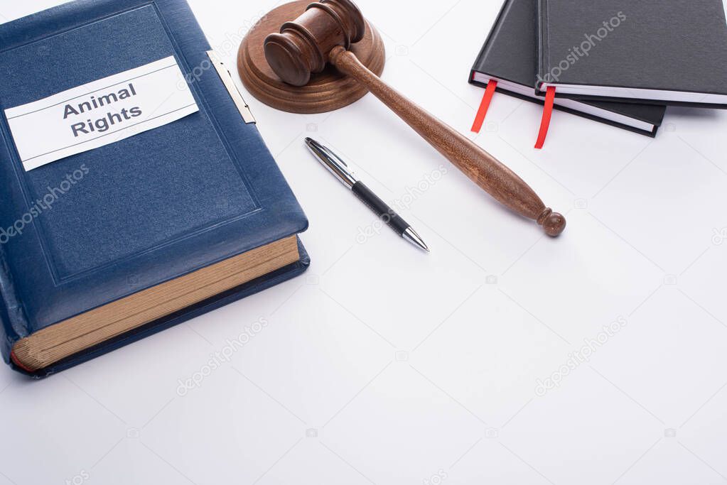 high angle view of judge gavel, blue book with animal rights inscription, pen and black notebooks on white background