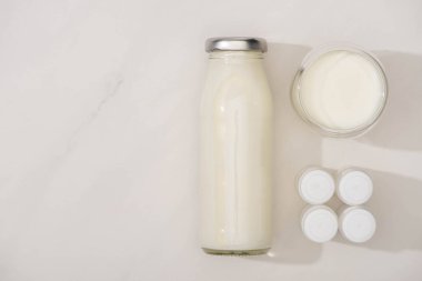 Beyaz arka planda başlangıç kültürleri olan konteynırların yanında şişe ve bir bardak ev yapımı yoğurt.