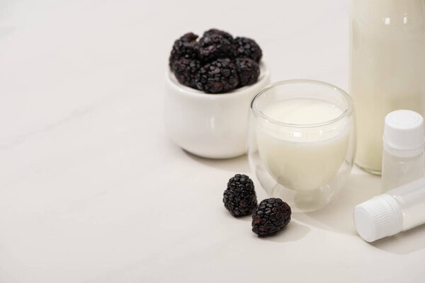 High angle view of sugar bowl with blackberries, bottle and glass of yogurt near containers with starter cultures on white