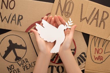 cropped view of woman holding white dove above no war placards on black background clipart