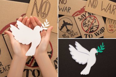 collage of woman holding white dove above no war placards on black background clipart