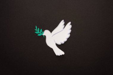 Beyaz güvercinin siyah arkaplanda barışın sembolü olarak en üstteki görünümü