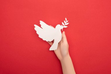 Kırmızıda beyaz güvercini elinde tutan bir kadının kırmızı arka planda barışın sembolü olduğu görüşü