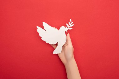 cropped view of woman holding white dove as symbol of peace in hand on red background clipart