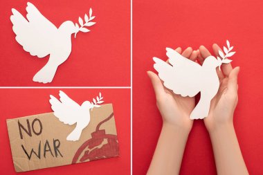 collage of female hands, white paper dove and cardboard placard with no war lettering and bomb on red background clipart