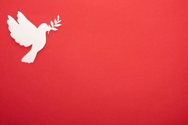 top view of white dove as symbol of peace on red background clipart