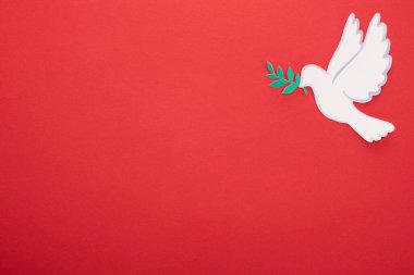 top view of white dove as symbol of peace on red background clipart