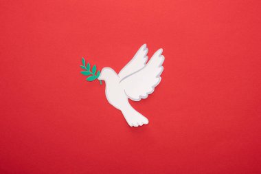 top view of white dove as symbol of peace on red background clipart