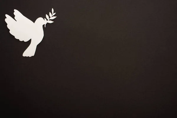Top View White Paper Cut Dove Black Background — Stock Photo, Image