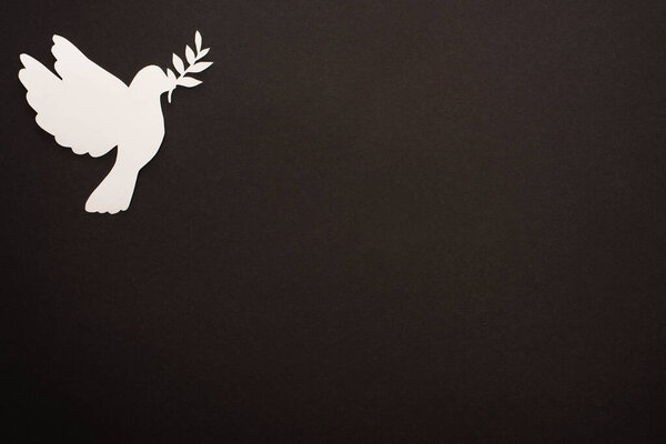 top view of white paper cut dove on black background