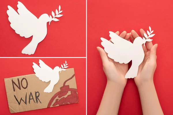 Collage Female Hands White Paper Dove Cardboard Placard War Lettering — Stock Photo, Image