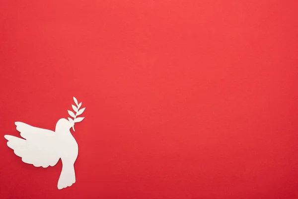 Ovanifrån Vit Duva Som Symbol För Fred Röd Bakgrund — Stockfoto