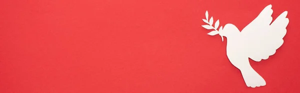 Vista Superior Pomba Branca Como Símbolo Paz Fundo Vermelho Tiro — Fotografia de Stock
