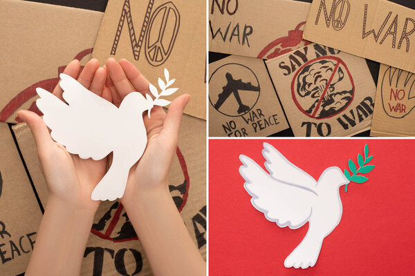 collage of female hands, cardboard placards with no war lettering and white paper dove on red background