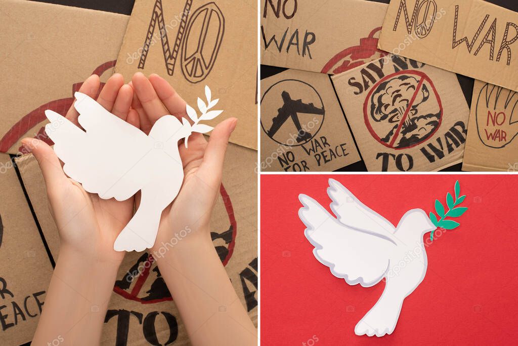 collage of female hands, cardboard placards with no war lettering and white paper dove on red background