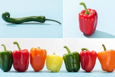Beyaz arka planda mavi yüzeyde taze dolma biber ve jalapenolardan oluşan kolaj