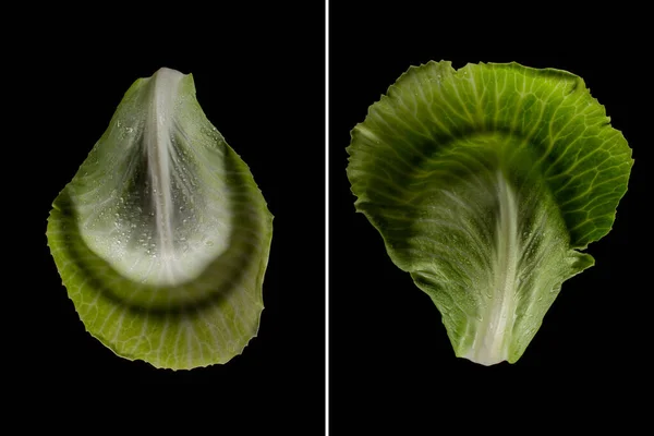 Collage Wet Green Cabbage Leaves Isolated Black — Stock Photo, Image