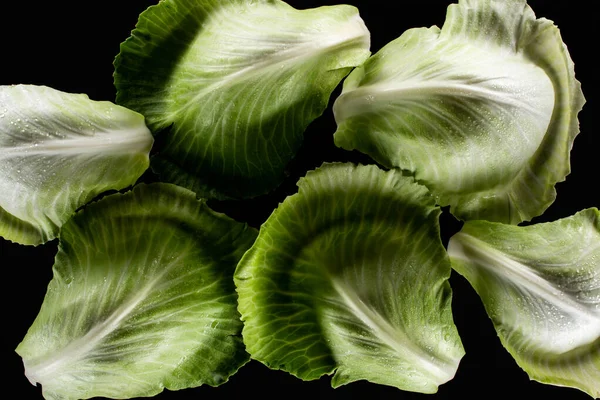 Vue Dessus Des Feuilles Chou Vert Humide Isolées Sur Noir — Photo