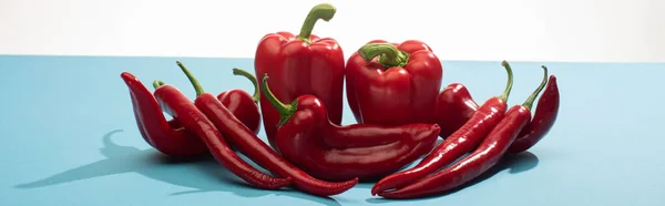Fresh Red Bell Peppers Chili Blue Surface White Background Panoramic — Stock Photo, Image