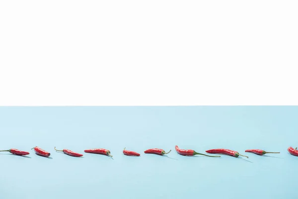 Fresh Red Chili Peppers Blue Surface Isolated White — Stock Photo, Image
