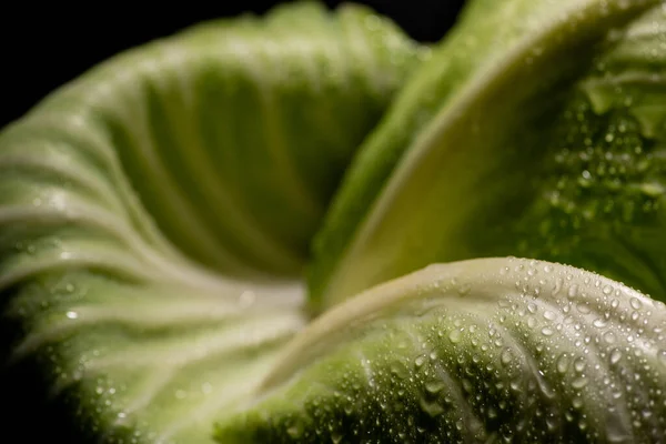 Vista Vicino Foglia Cavolo Verde Bagnato Isolato Nero — Foto Stock