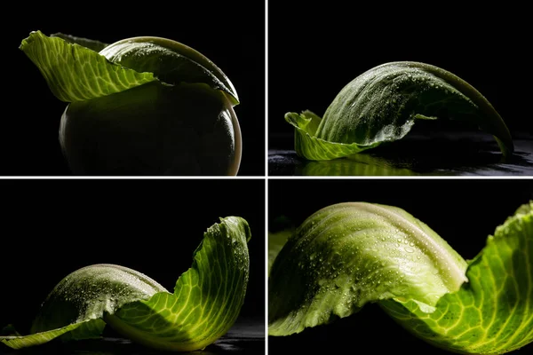 Collage Wet Green Cabbage Leaves Isolated Black — Stock Photo, Image