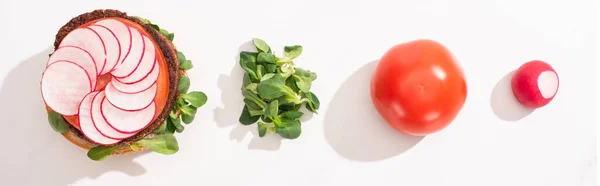 Top View Vegan Burger Radish Tomato Sprouts White Background Panoramic — Stock Photo, Image