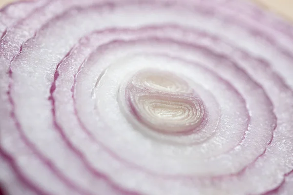 Close View Fresh Onion Slice — Stock Photo, Image