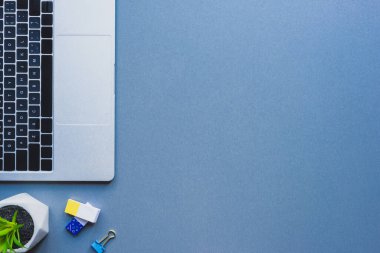 Dizüstü bilgisayarın, bitkinin ve klasörün mavi yüzeydeki silgisiyle üst görünümü