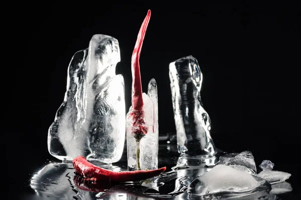 Chilischoten im schmelzenden Eis — Stockfoto