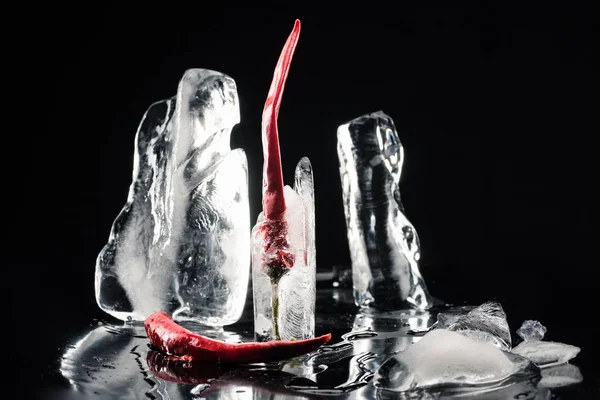 Chili peppers in melting ice — Stock Photo