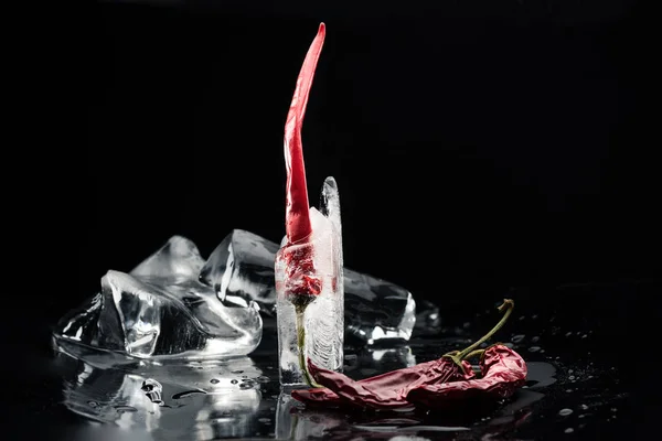 Chili peppers in melting ice — Stock Photo