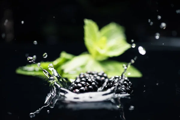 Moras maduras que caen en el agua - foto de stock